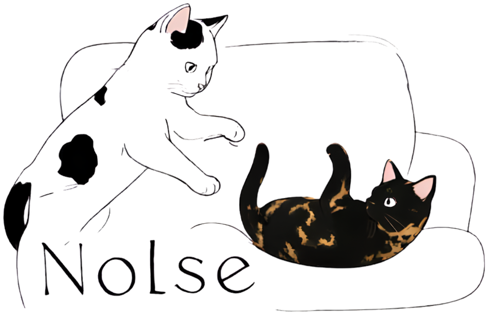NOLSE